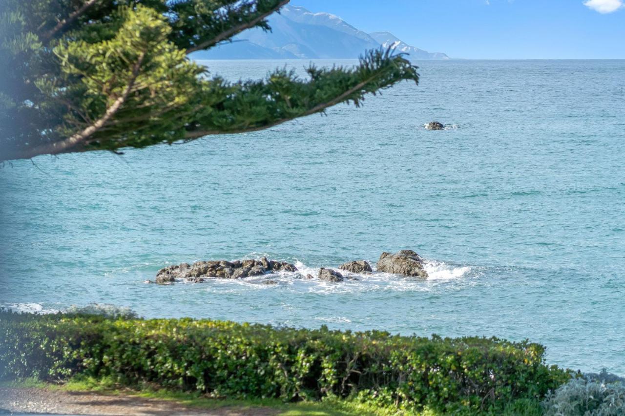 Kaikoura Waterfront Apartments 外观 照片